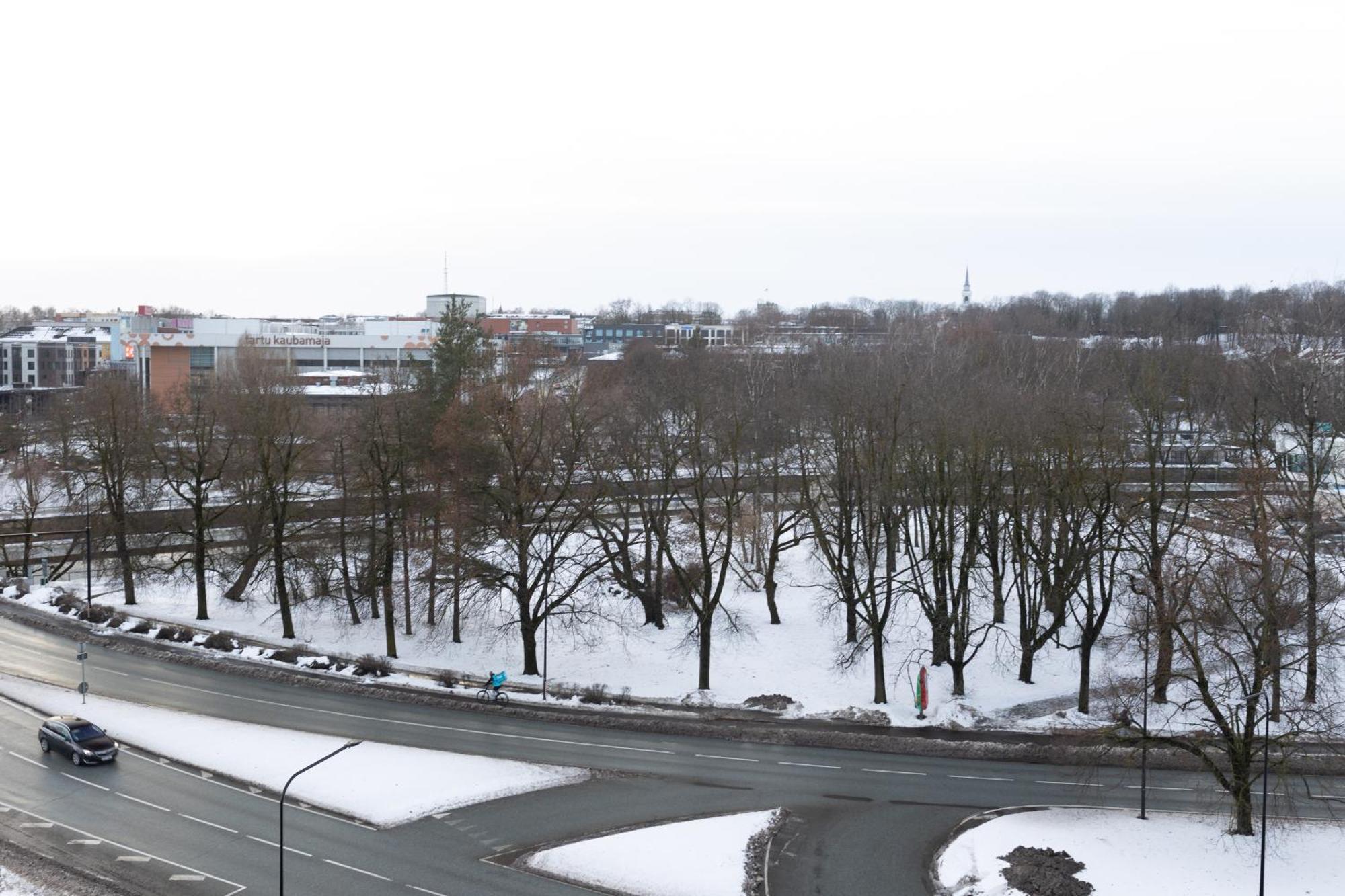 Fortuuna View *